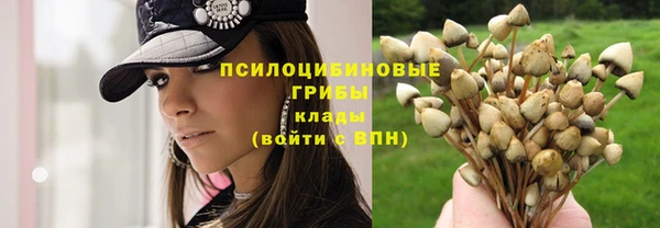 кокаин премиум Алзамай