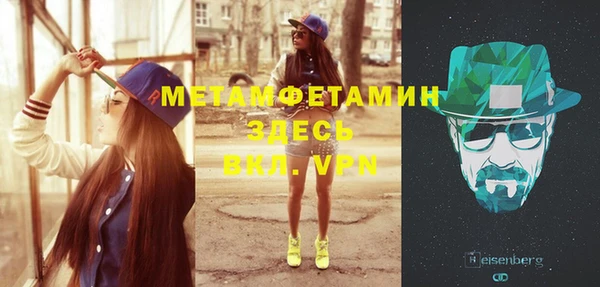 индика Арсеньев