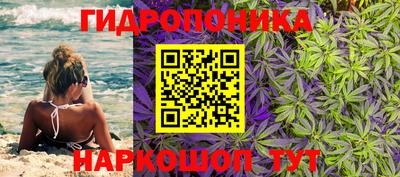 винт Донецк